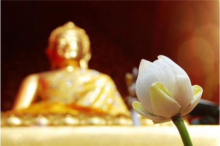 释迦牟尼的一生