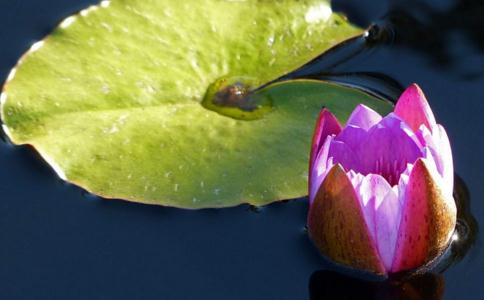 你要懂得,体验自我内心的世界