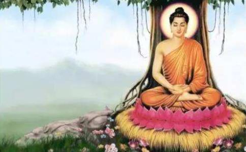 人生随时可能落入生死井中